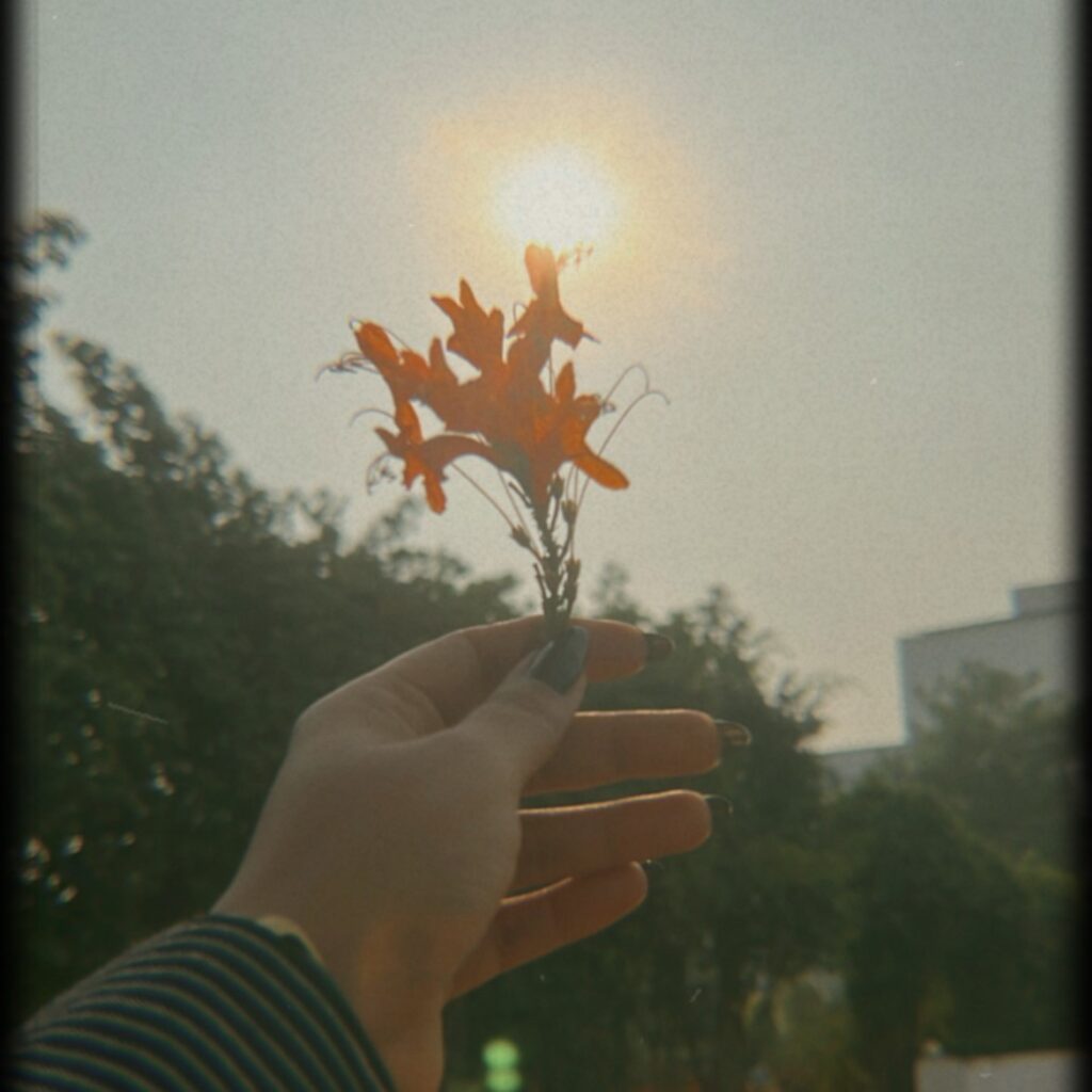 Grow Through What You Go Through: A Journey of Resilience and Dreams
