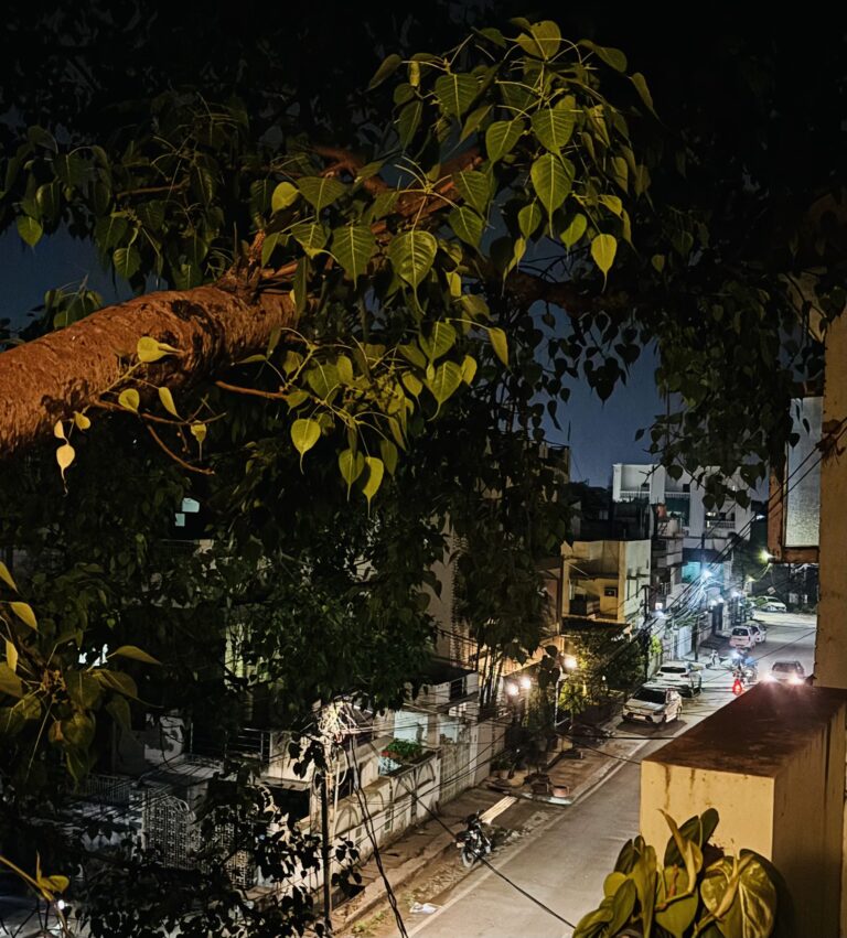 Emotional Intelligence